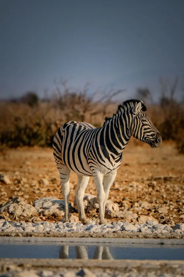 Namibia