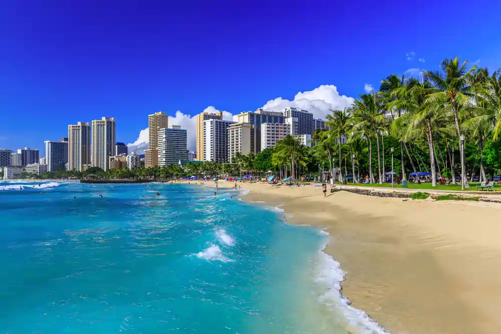 Sunny beach with turquoise water, palm trees, and a city skyline under a bright blue sky.