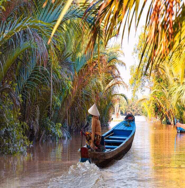 Person wearing a conical hat navigates a narrow boat through a tropical river lined with dense palm trees.